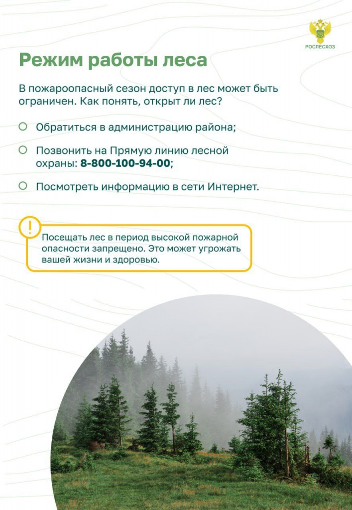 Нормы заготовки древесины для своих нужд в Вологодской области в 2020 году